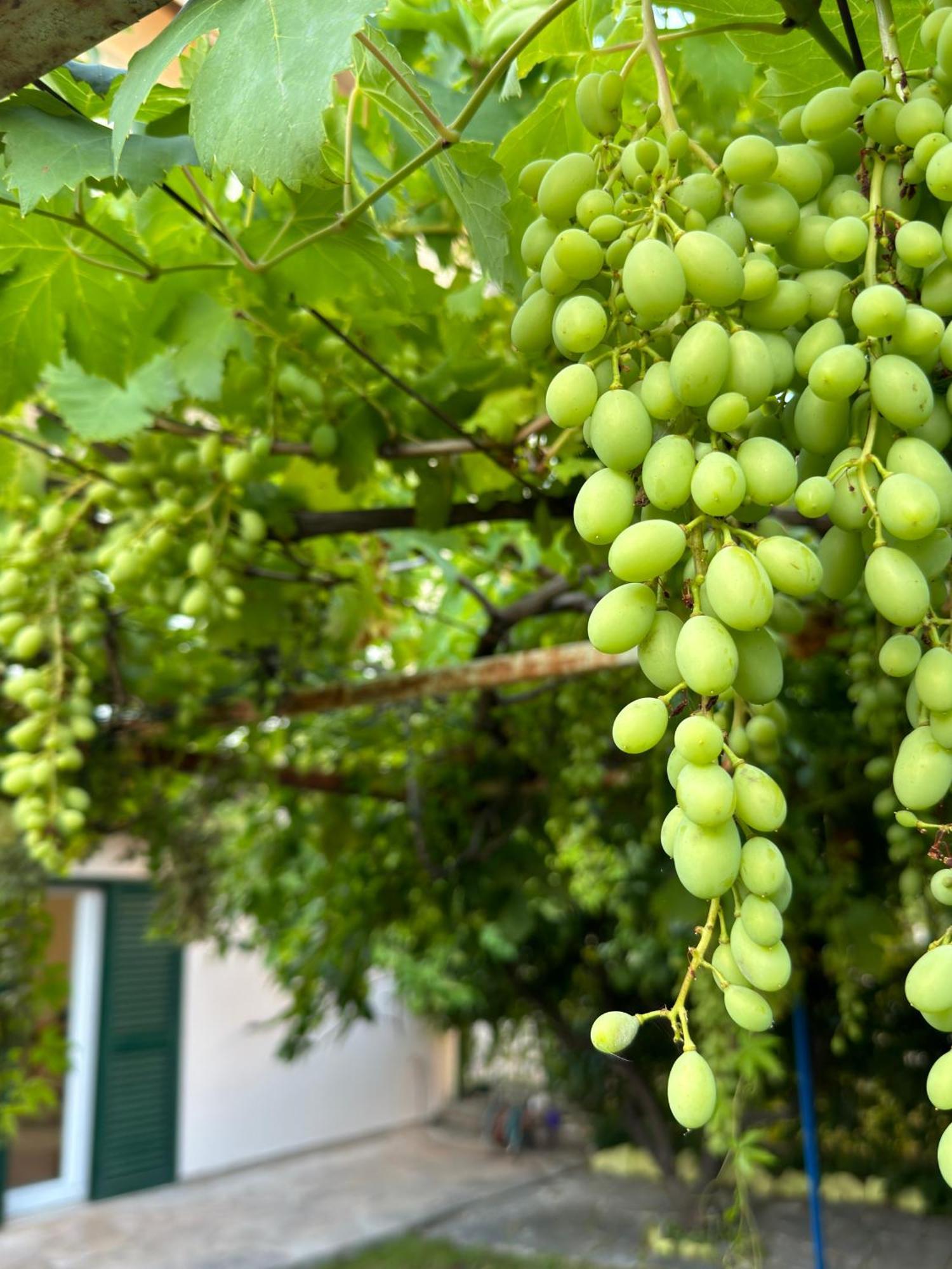 Lejlighed Valentinas Garden Split