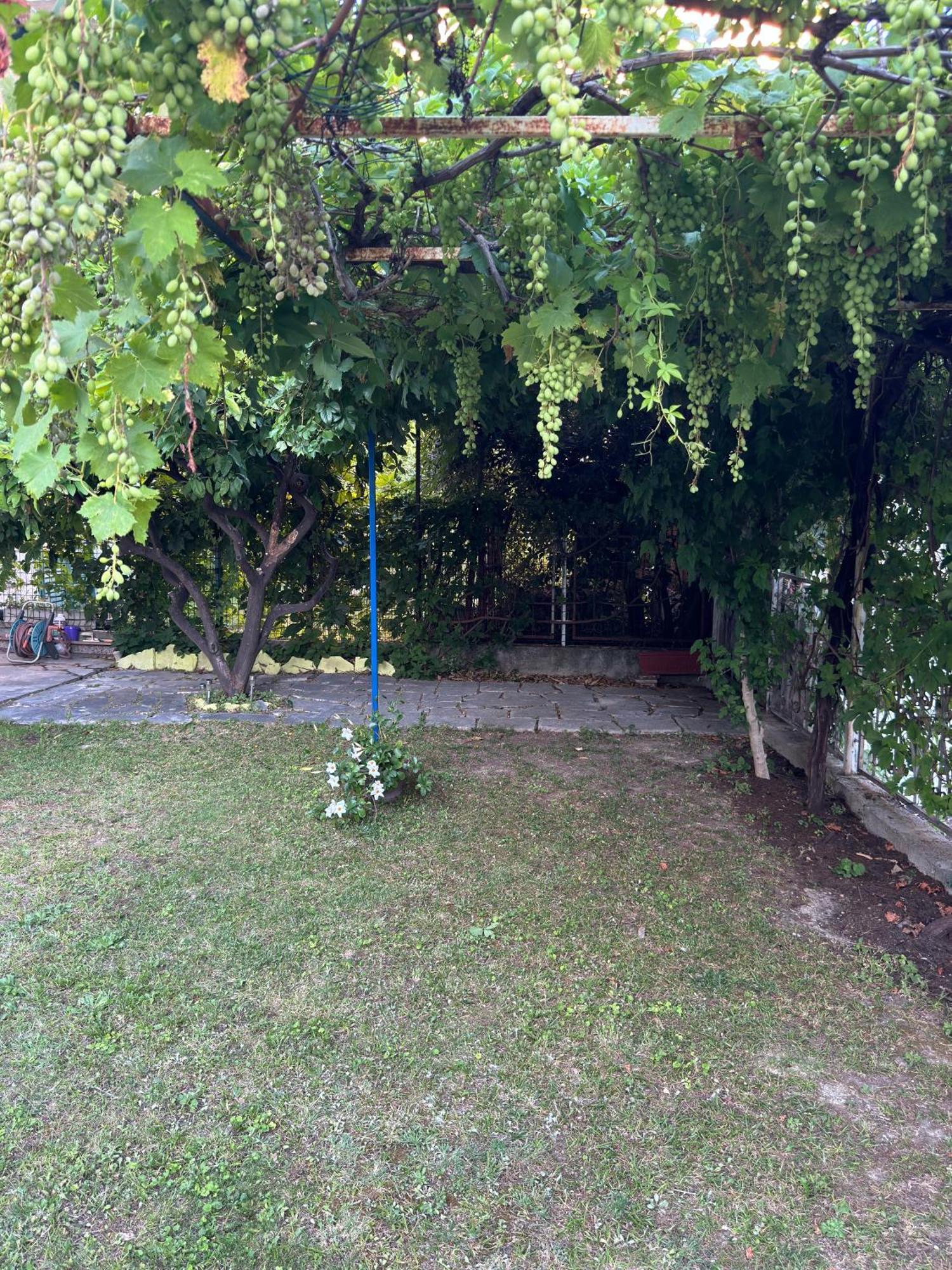Valentinas Garden Lejlighed Split